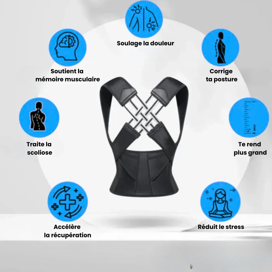 Linentra | Adjustable Back Support Belt